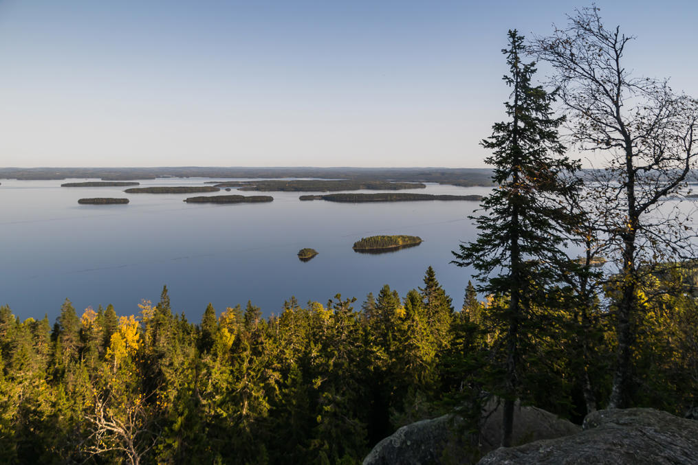 Коли в сентябре 2017