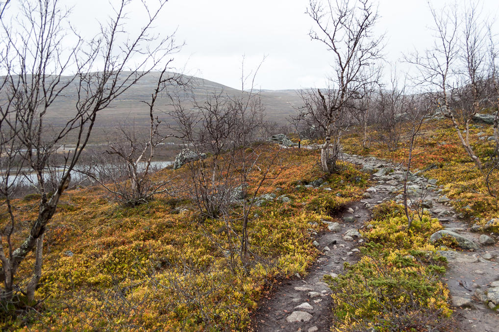 Возвращение с Трериксрёсета