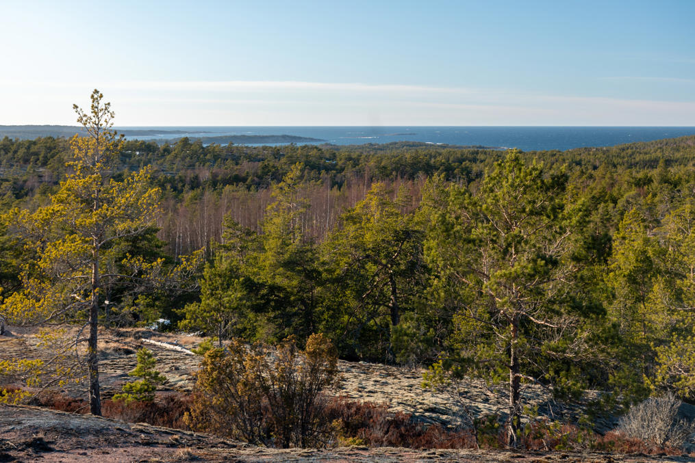 Вид на север с горы Йетабергет на севере Фаста-Оланда