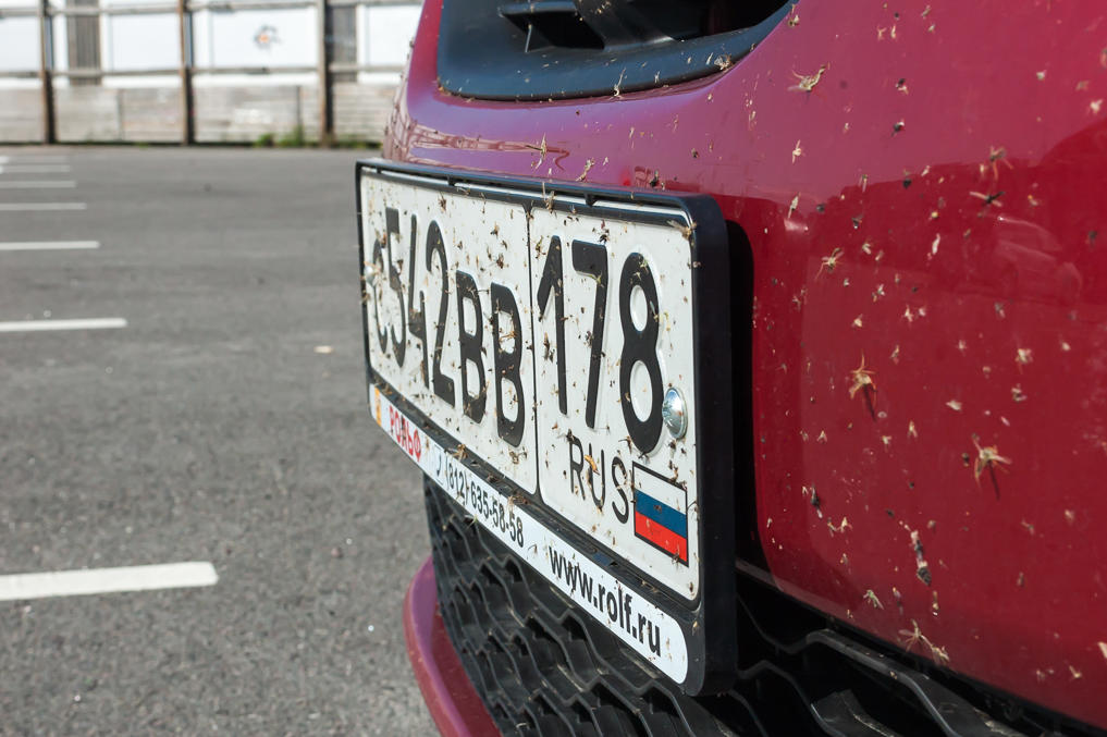 Разбившаяся мошкара