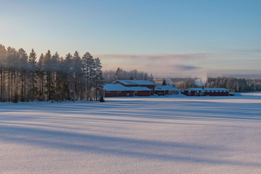 Возвращаясь из Кайнуу. Ферма в деревне Кулунталахти чуть севернее Каяани