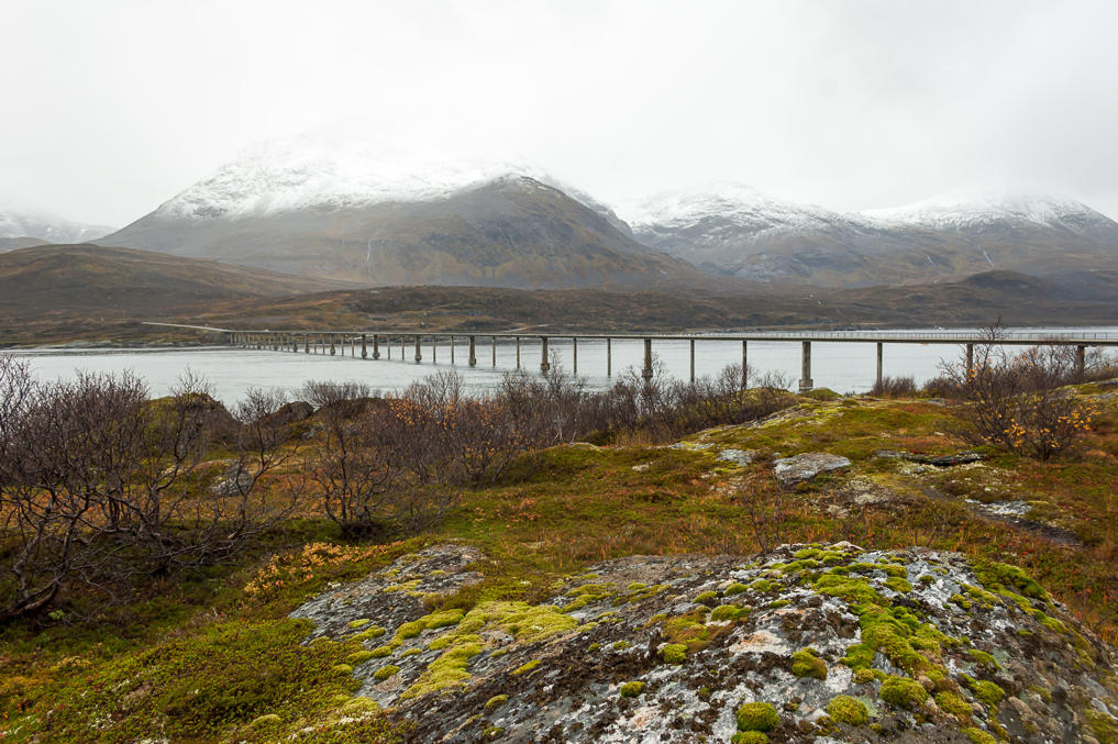 Скаттёрсунн