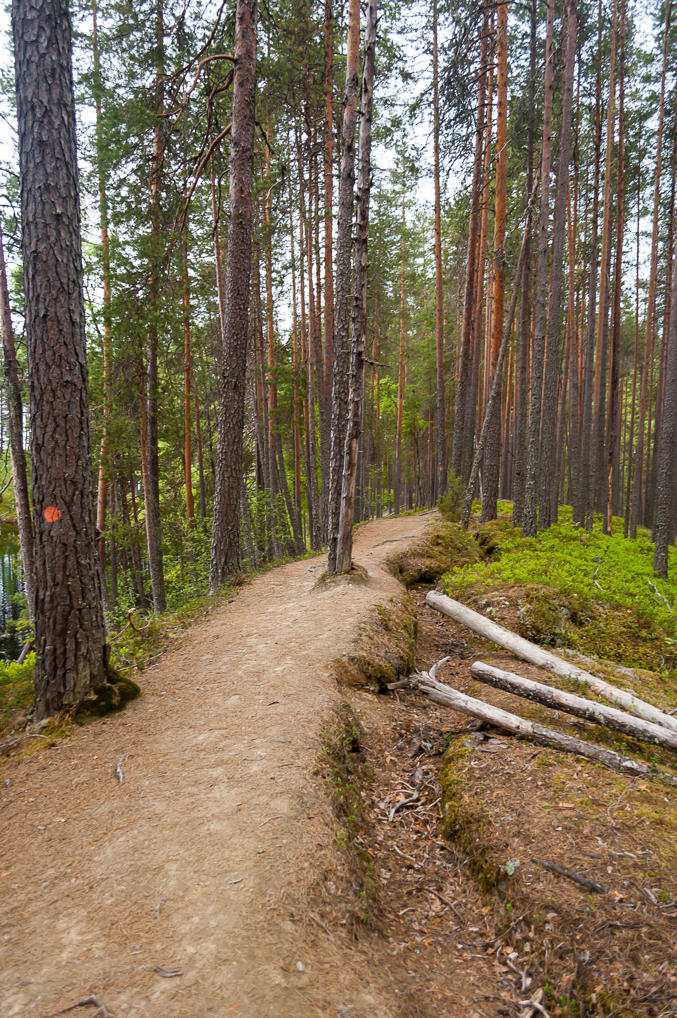 Тропинка и траншея