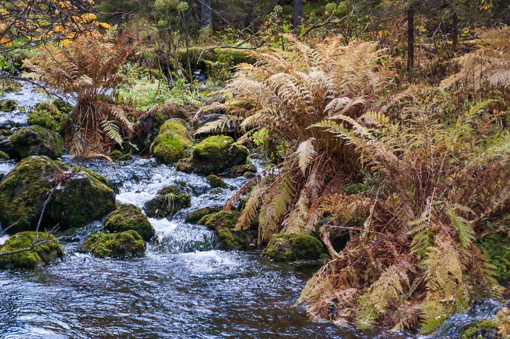 Варкаанкуру