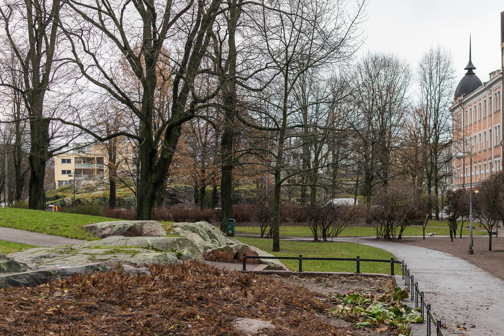 Вуоримиехенпуйстикко