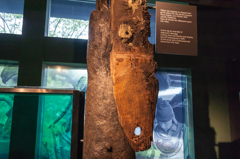 Повреждения от корабельных червей