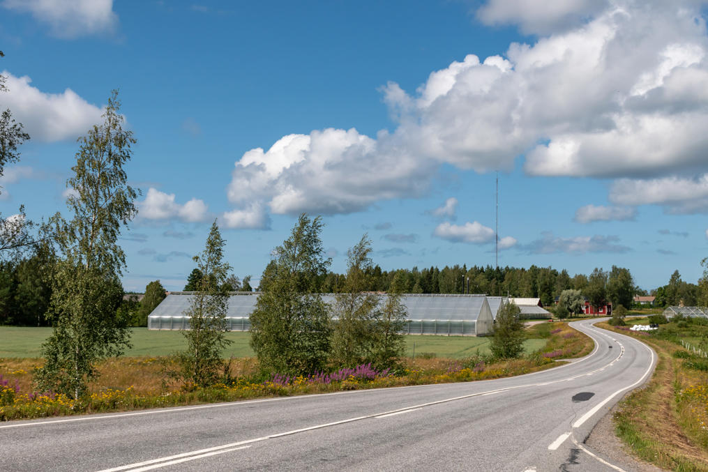 Окрестности поселка у дороги на Пьелакс-Кристинестад