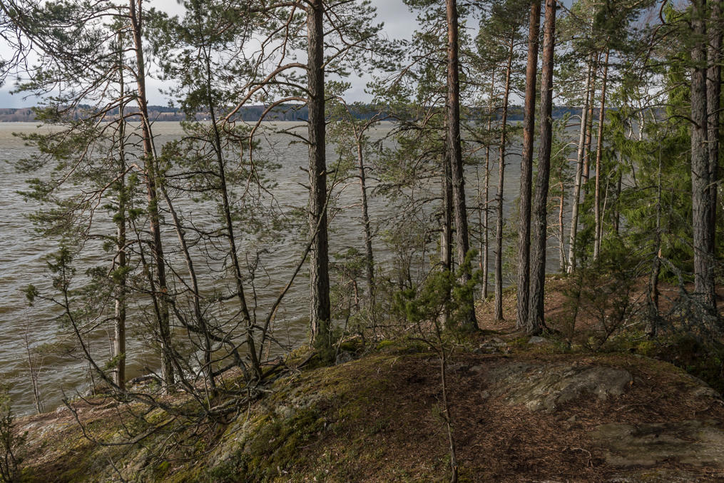 Берег озера на дальнем конце тропы