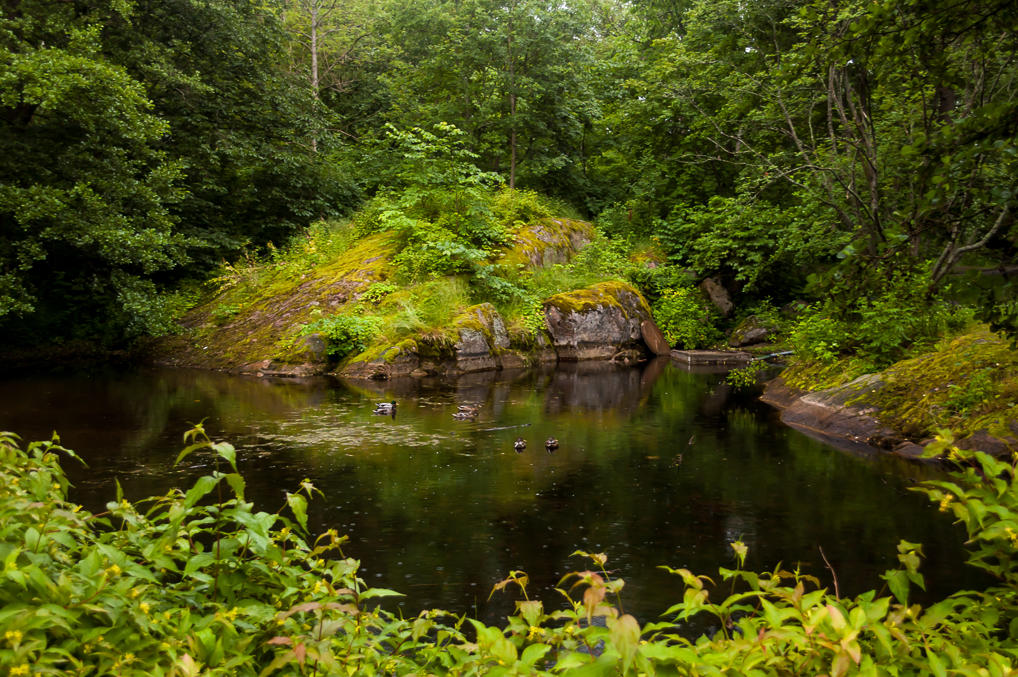 Урхейлупуйсто