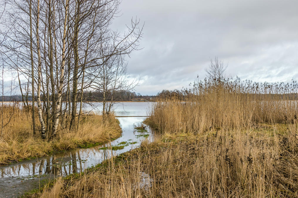 Херманнин-Рантапуйсто