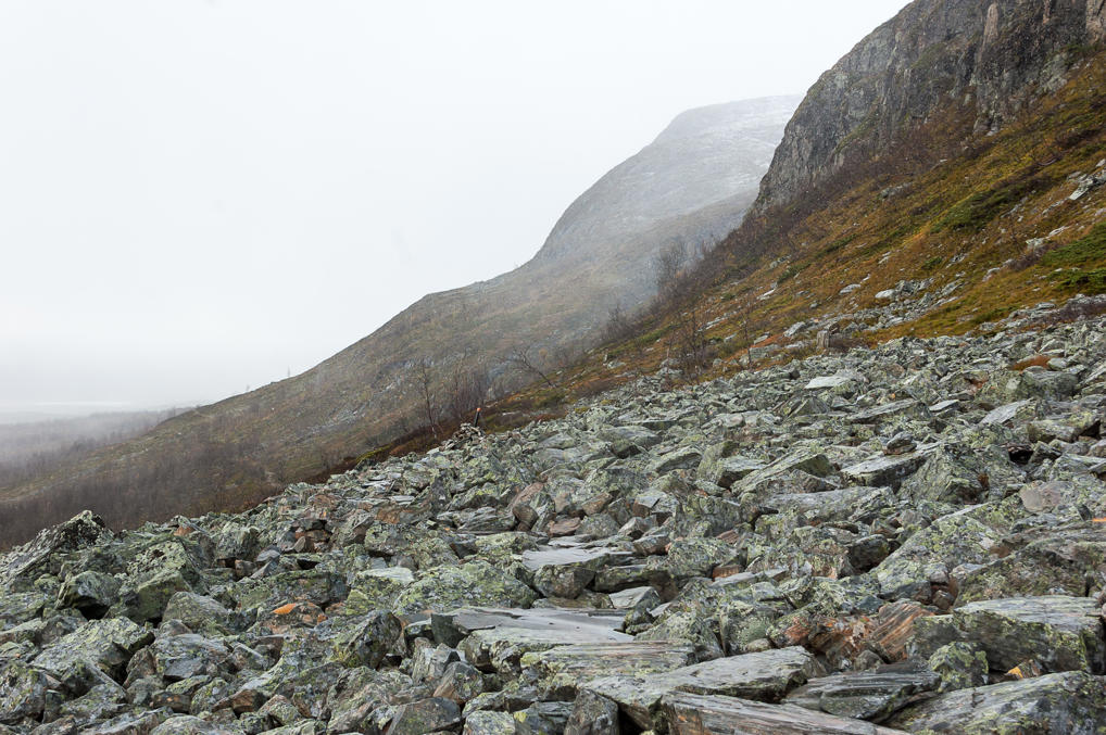 Тропа через курумник