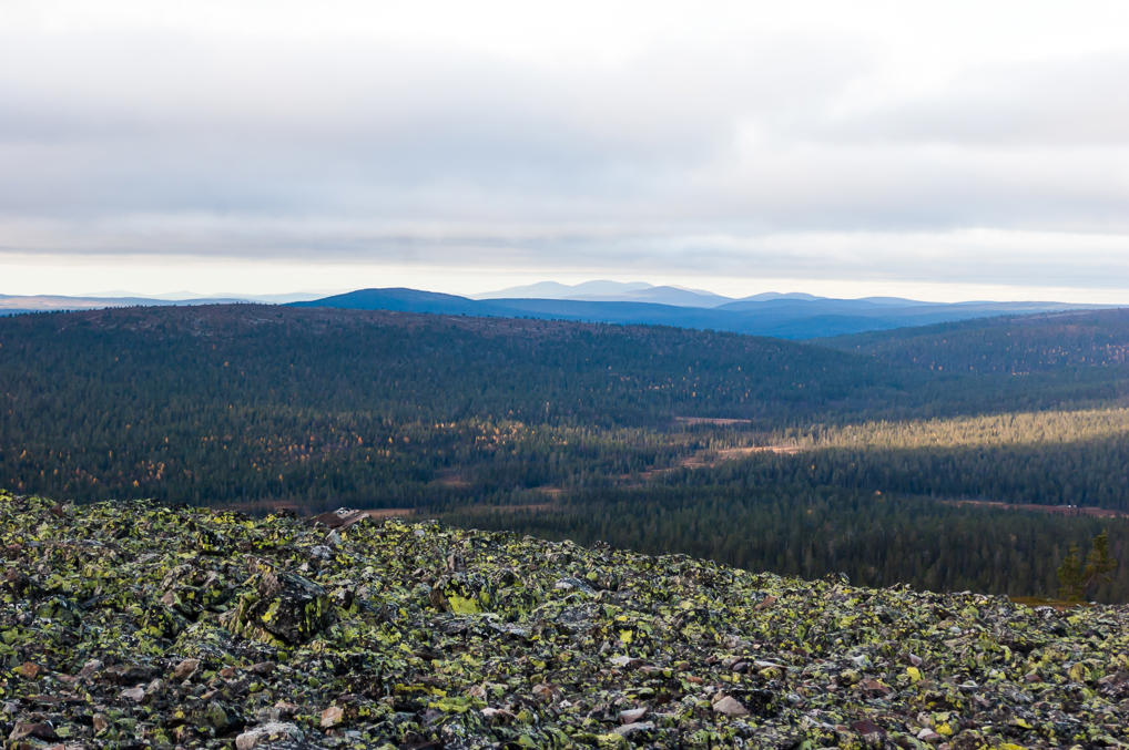 Далекие фьельды
