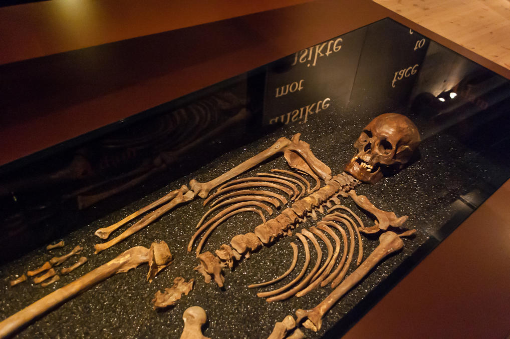 Останки экипажа Васы