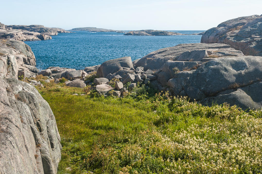 Смёгенские тропинки