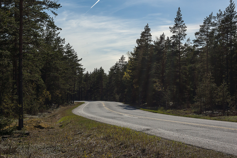 Местная дорога 11007