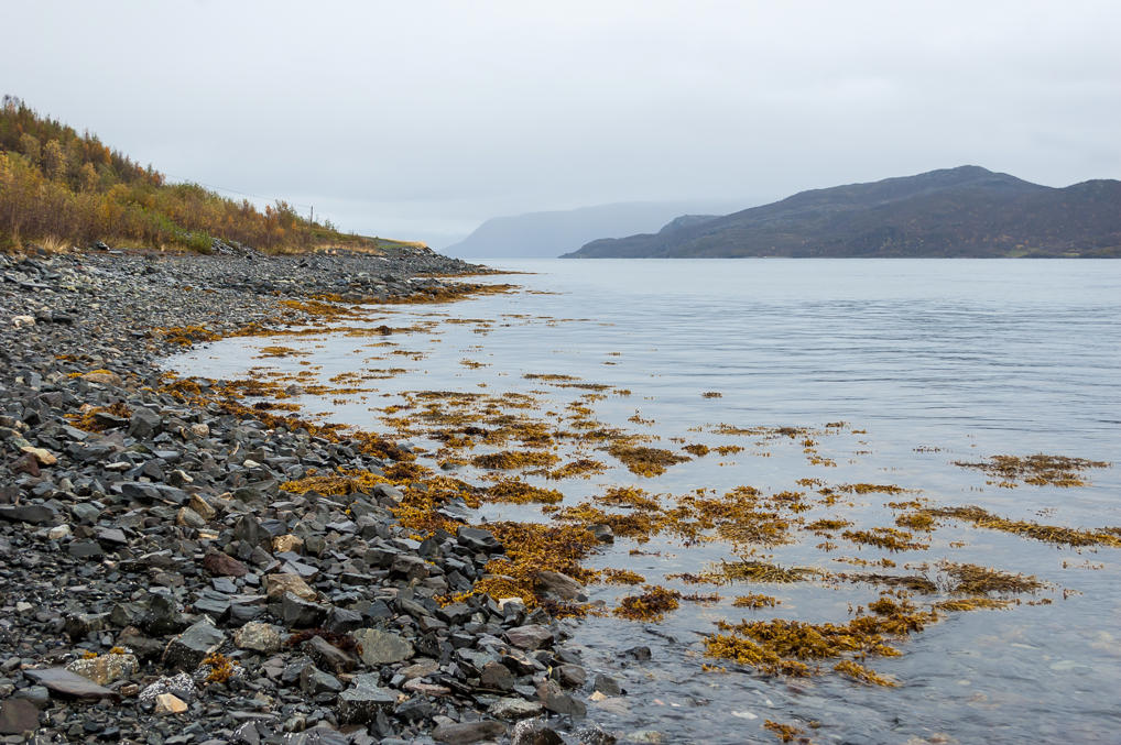 Остров Коген