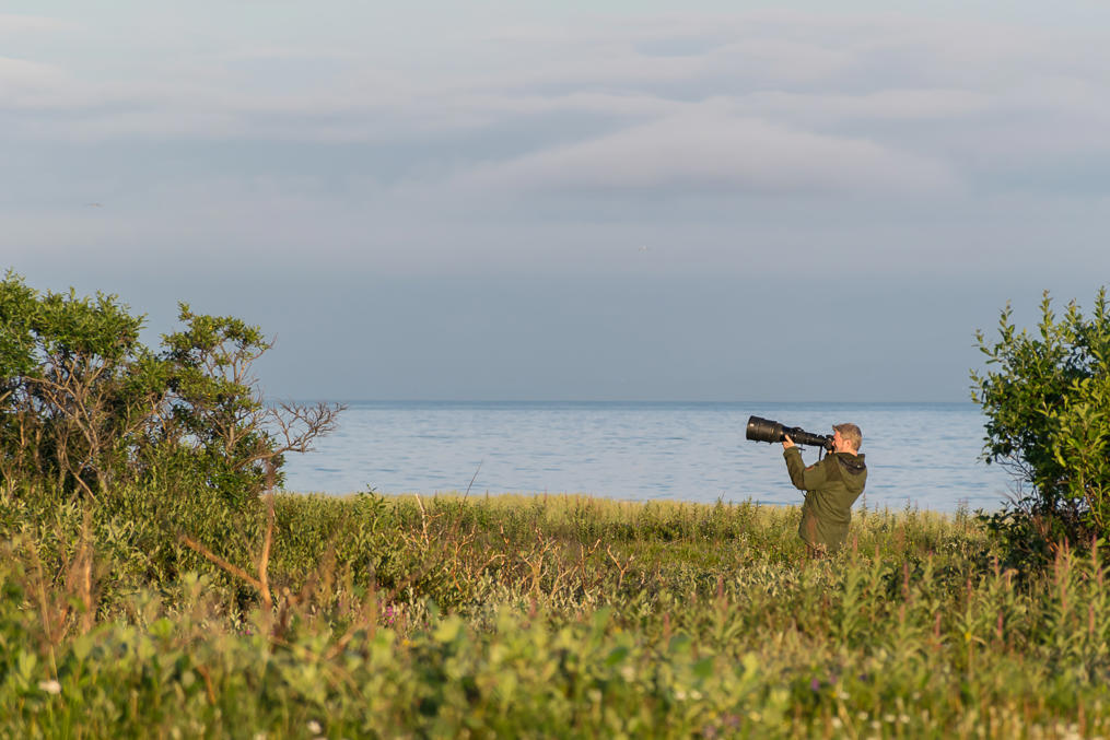 Наблюдение за птицами на острова Вадсёйя близ Вадсё