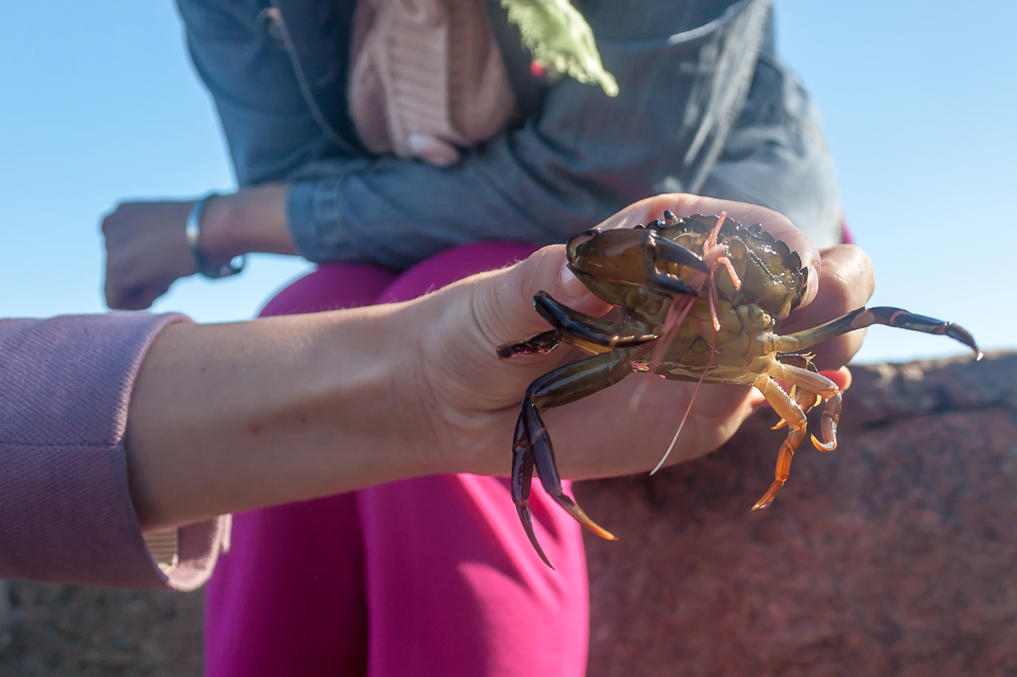 Ловля крабов