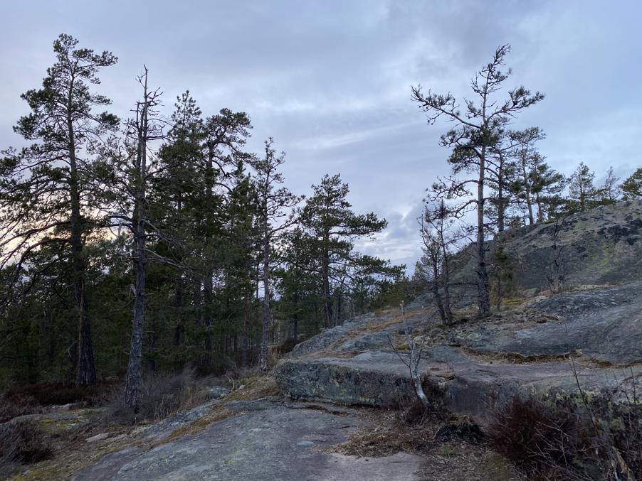Тропа Ханикка.  Скалы