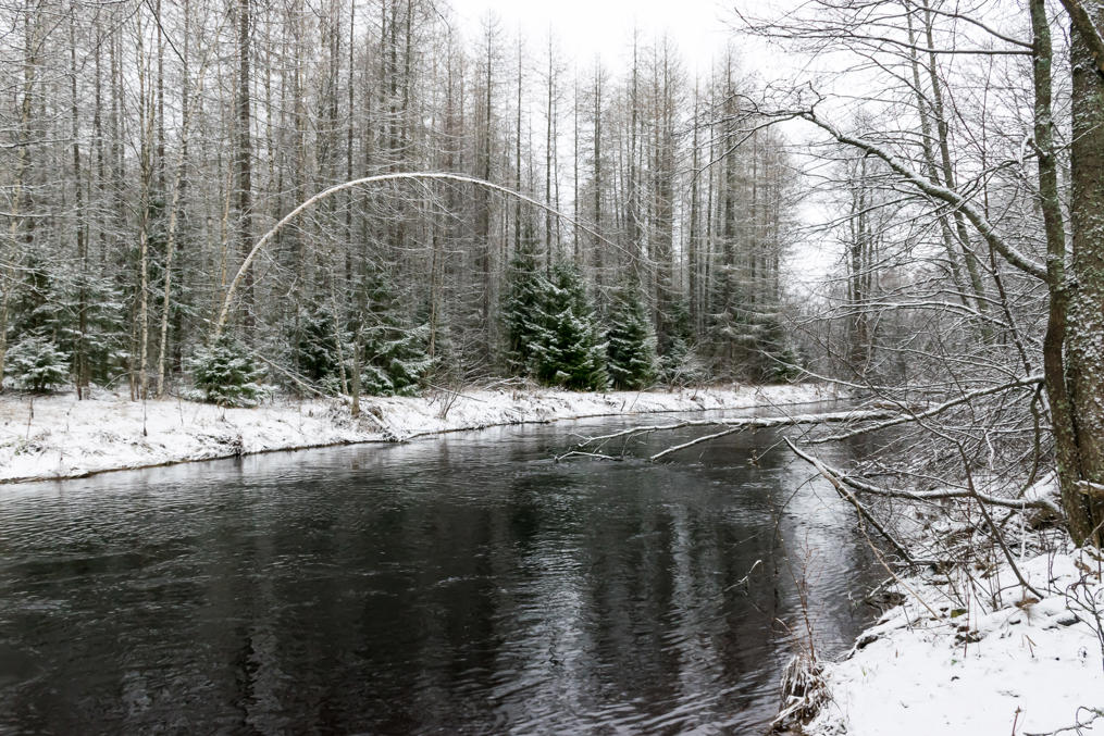 Линдуловская роща