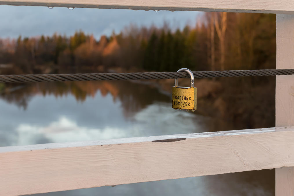 Романтичные финны