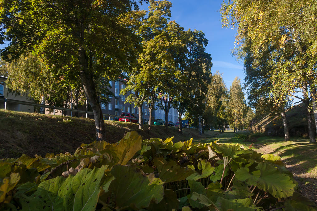 Городской парк