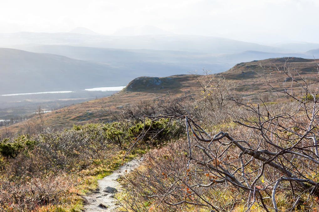 Возвращение с Трериксрёсета