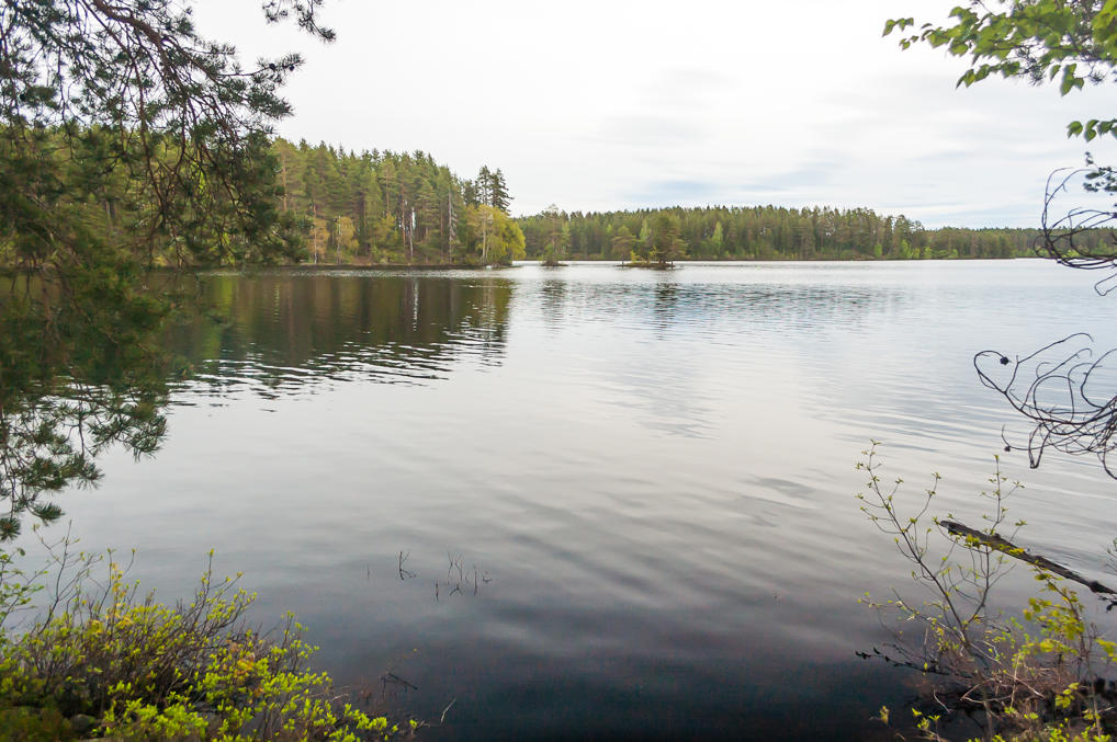 Национальный парк Петкельярви