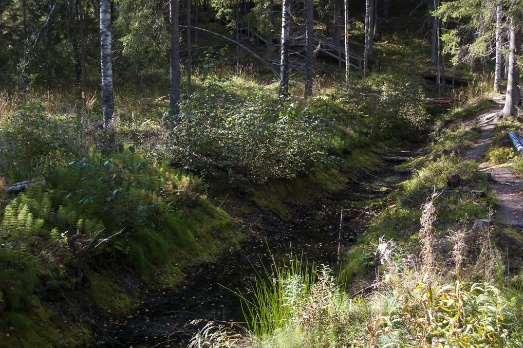 Противотанковый ров