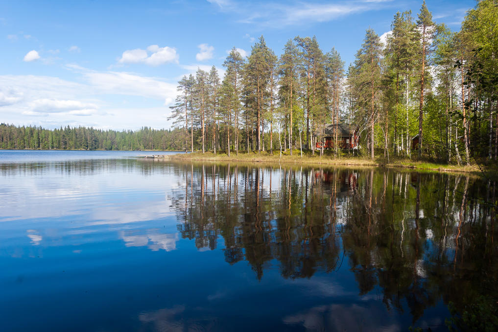 Озеро у дороги