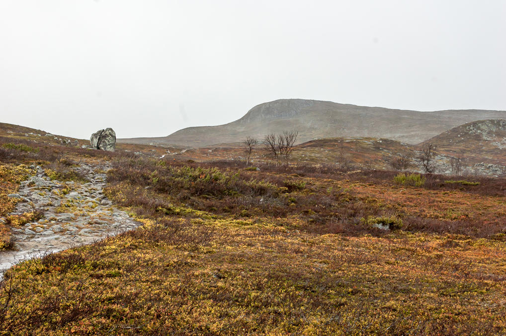 Треснувший валун