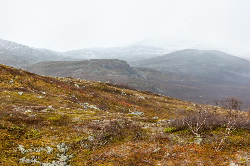 Безлесная тропа