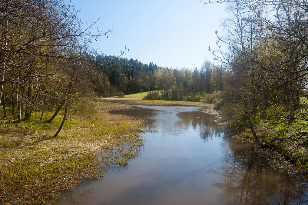 Речка Разеборг