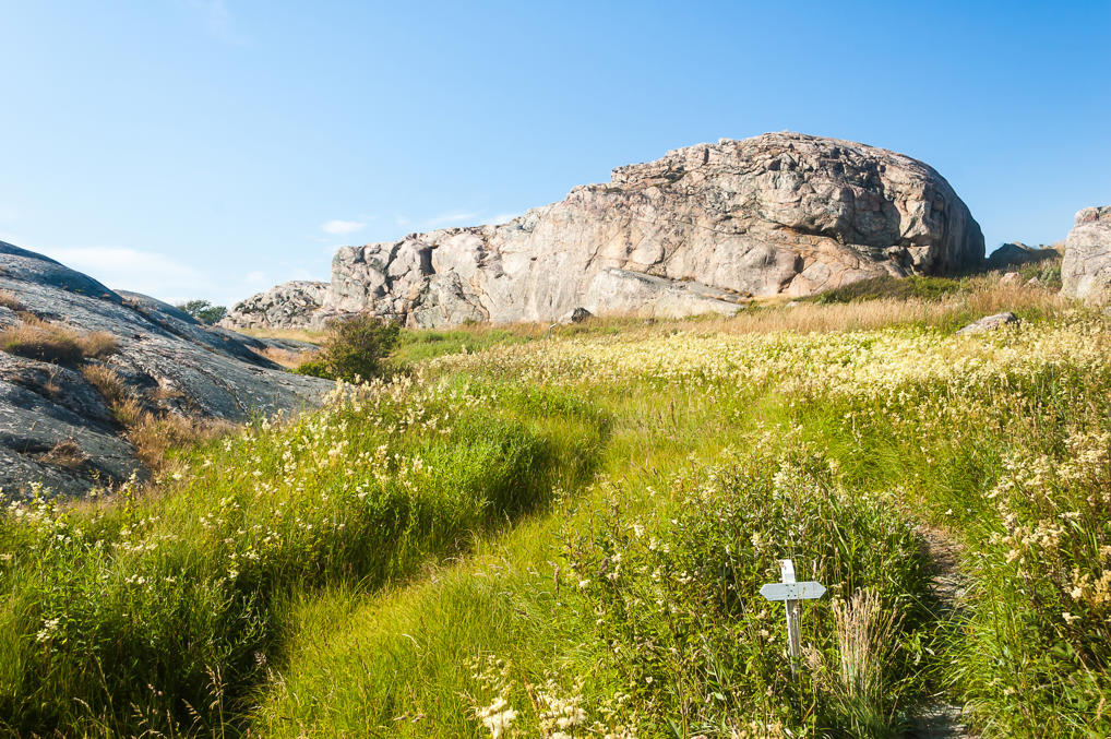 Смёгенские тропинки