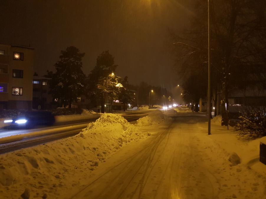 11. Улица Палосаарентие (Горелоостровская дорога), район Палосаари