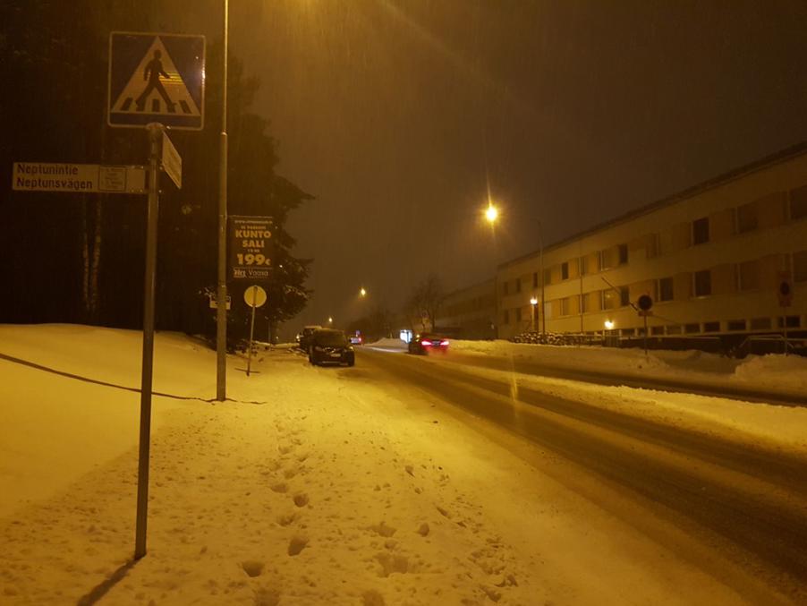 22. Улица Палосаарентие