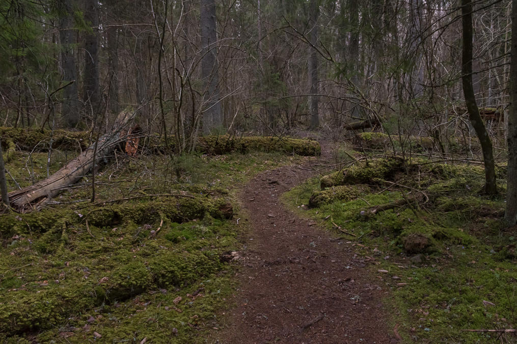 Тропа в заповедника Каркали