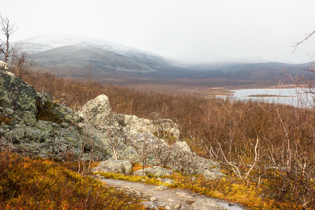 Лесная тропа