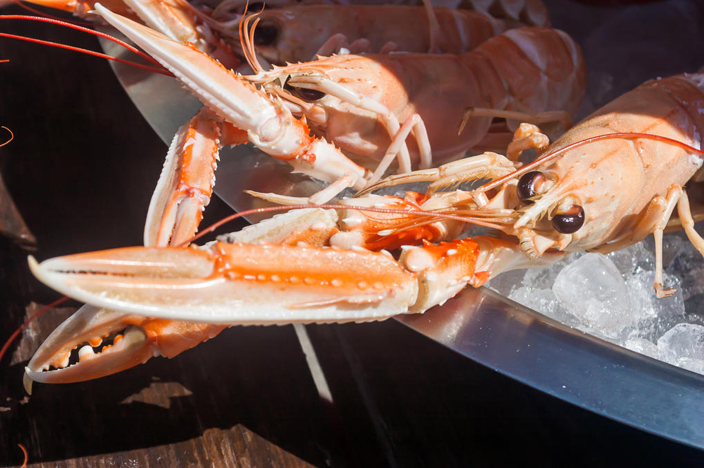 Норвежские омары