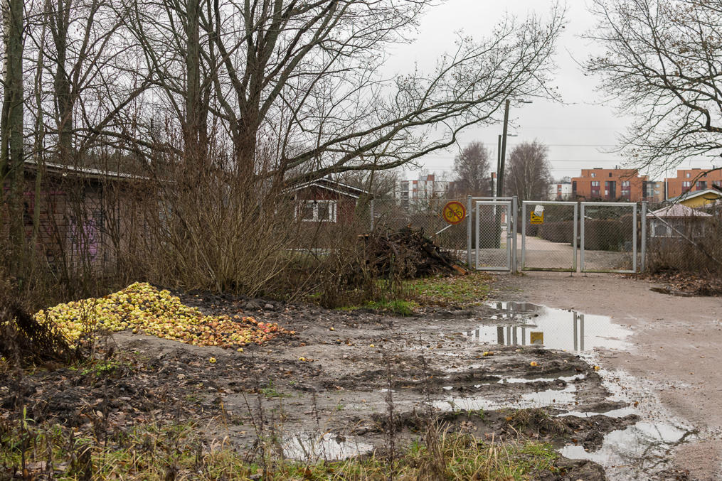 Садоводческое товарищество Оулункюля