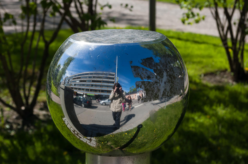 Енот отражается