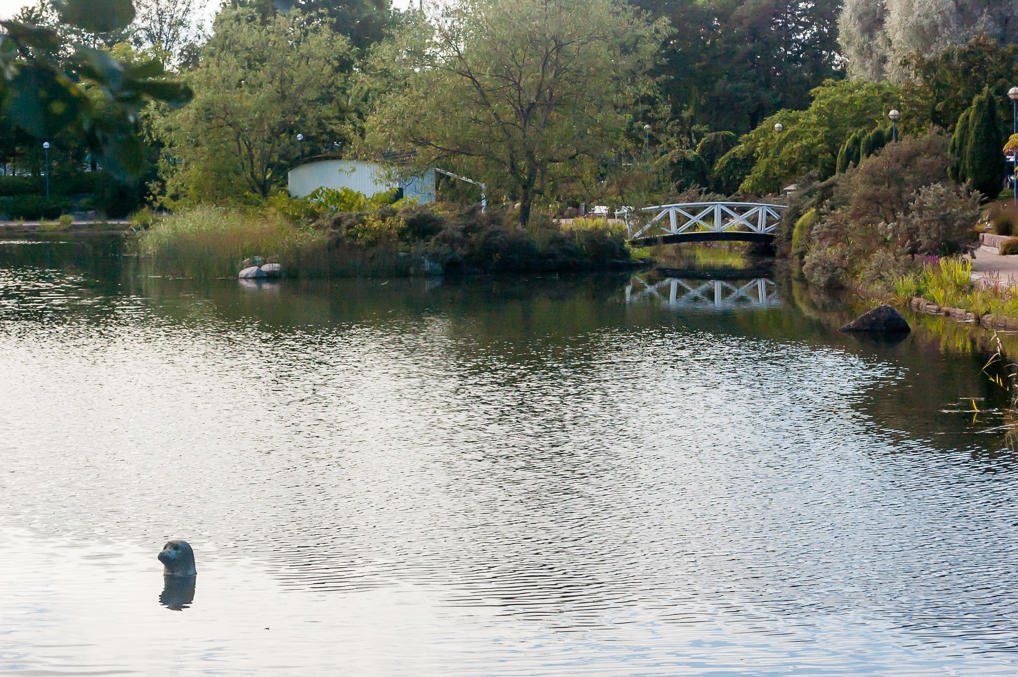 Парк Сапокка