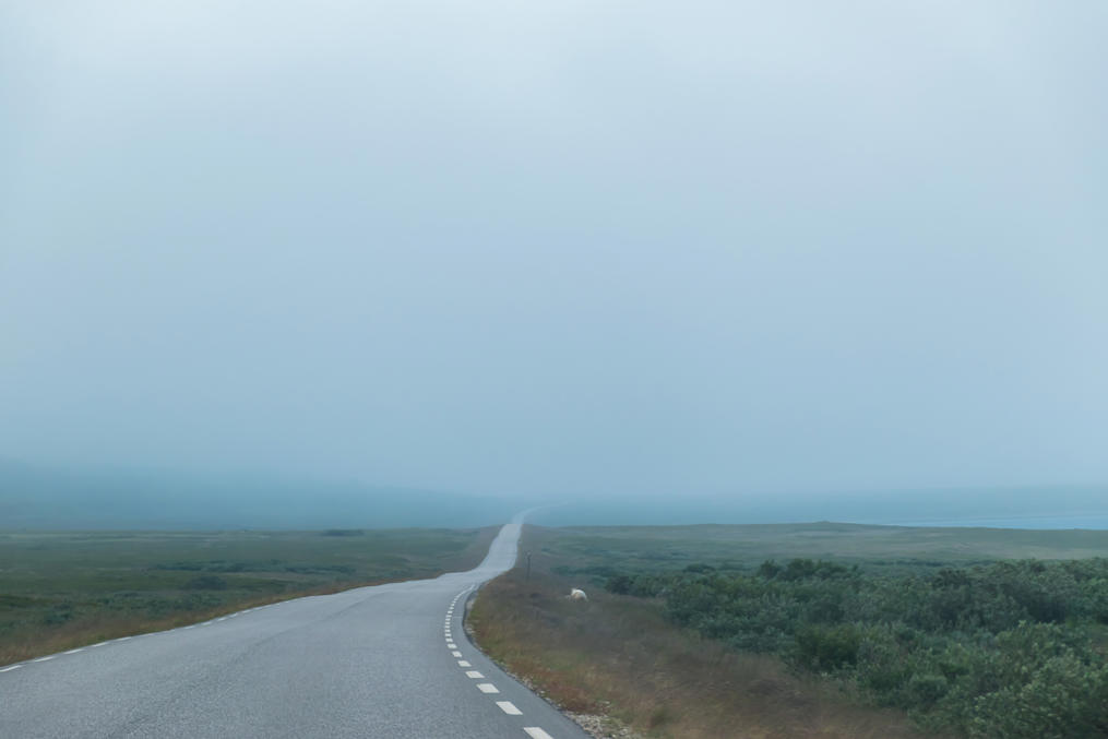 Та же дорога примерно десять минут спустя
