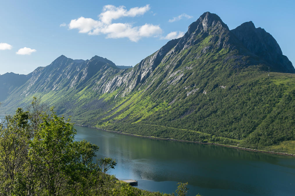 Грюлле-фьорд (Сенья)