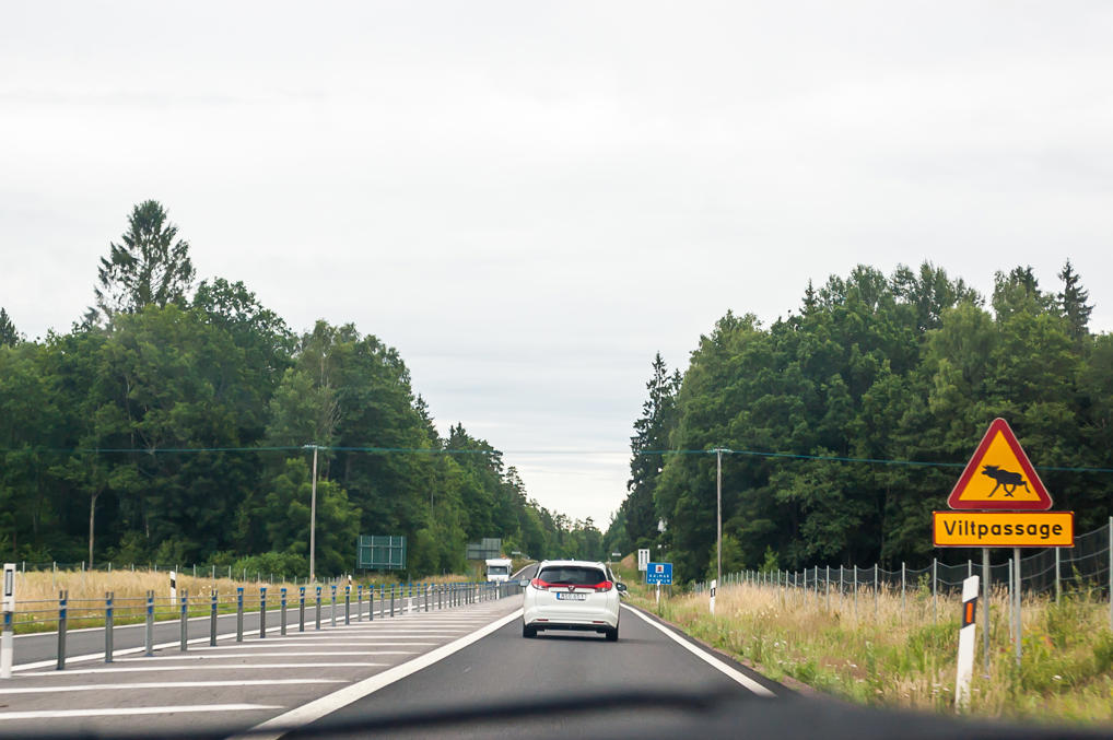 Знак с лосями