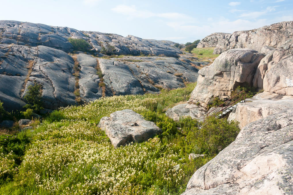 Смёгенские тропинки